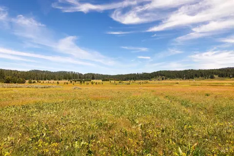 tbd Wilderness Lake Rd, High Valley, ID 83611 photo 8