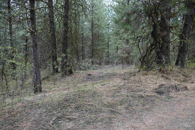 tbd Outlaw Trl, Banks, ID 83602