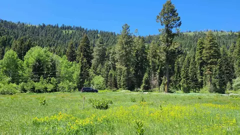 1608 Bear Trail Loop, Cascade, ID 83611 photo 3