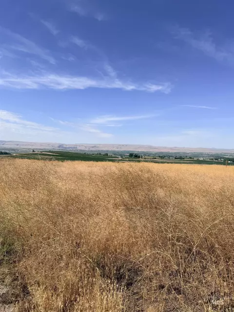 tbd Homedale Rd, Caldwell, ID 83676 photo 4