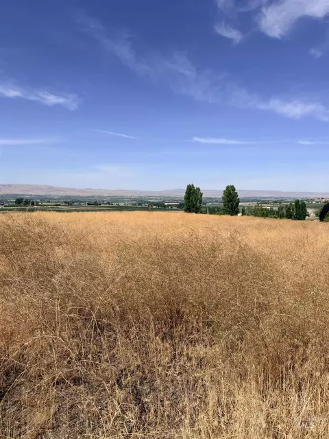 tbd Homedale Rd, Caldwell, ID 83676 photo 2