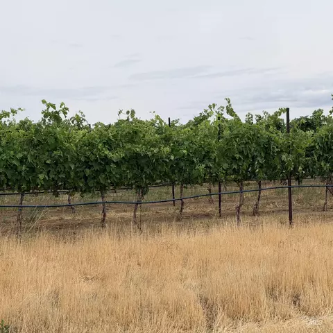 tbd Homedale Rd, Caldwell, ID 83676 photo 18
