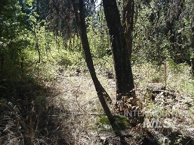 tbd Ruth St, Cascade, ID 83611