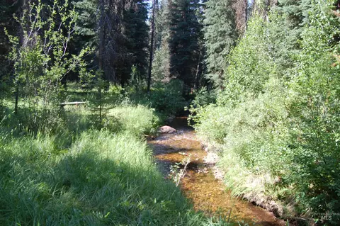 tbd Morell Rd, Mccall, ID 83638 photo 4