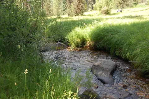 tbd Morell Rd, Mccall, ID 83638 photo 6