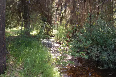tbd Morell Rd, Mccall, ID 83638 photo 8