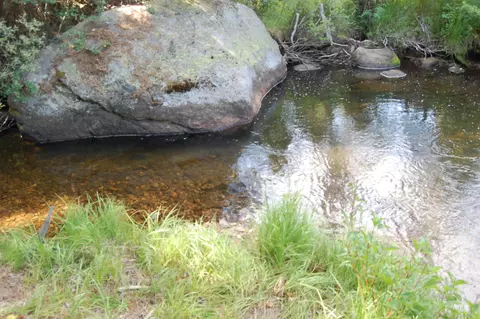 tbd Morell Rd, Mccall, ID 83638 photo 7