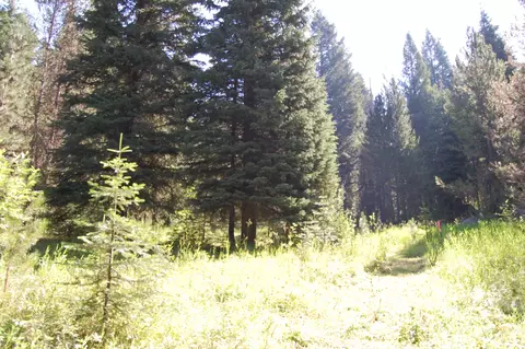 tbd Morell Rd, Mccall, ID 83638 photo 3