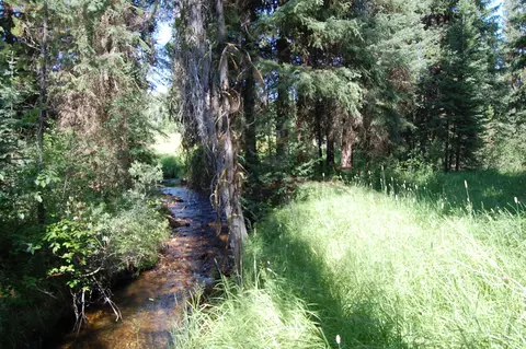 tbd Morell Rd, Mccall, ID 83638 photo 5