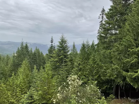 6125 Freeman Creek Rd, Lenore, ID 83541