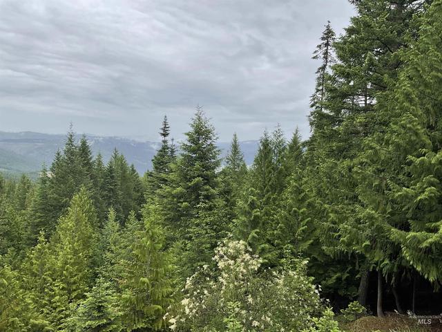 6125 Freeman Creek Rd, Lenore, ID 83541