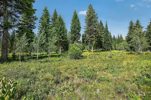 tbd Sundance Dr, Mccall, ID 83638 photo 6