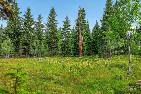 tbd Sundance Dr, Mccall, ID 83638 photo 11