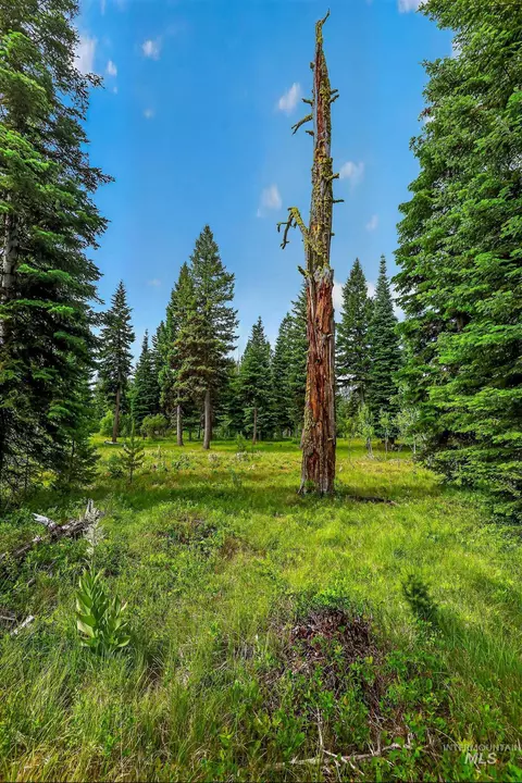 tbd Sundance Dr, Mccall, ID 83638 photo 9