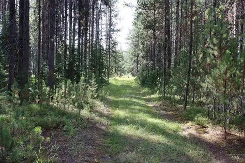 L49 Secesh River Road, Mccall, ID 83638
