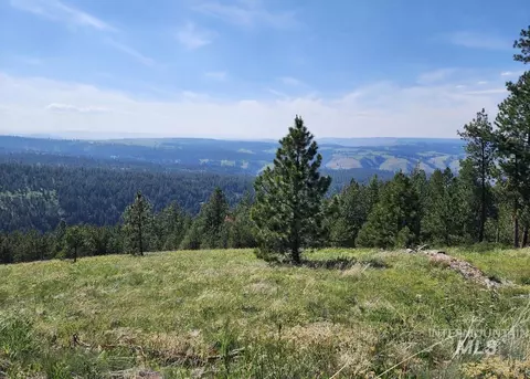 lot91 Tbd Pilgrim Ridge Rd, White Bird, ID 83554
