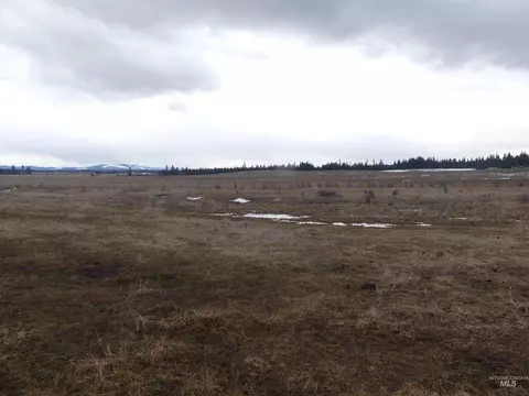 901 W Pierce Ave, Weippe, ID 83553 photo 3