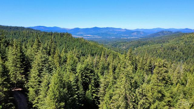 1494 N 1432 N Alpine, Fernwood, ID 83830