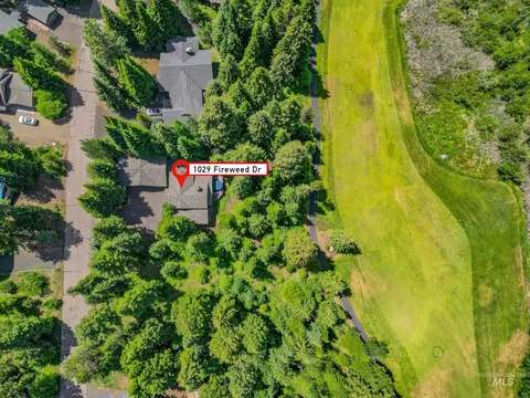 View/Area - 1029 Fireweed Dr, Mccall, ID 83638 photo 1 of 2