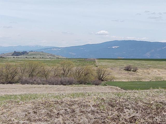 lot10 Angus Ranch Rd, Grangeville, ID 83530