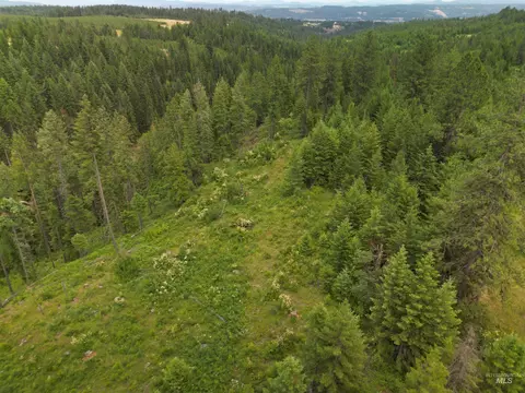 000 Silver Ln, Lenore, ID 83541 photo 17