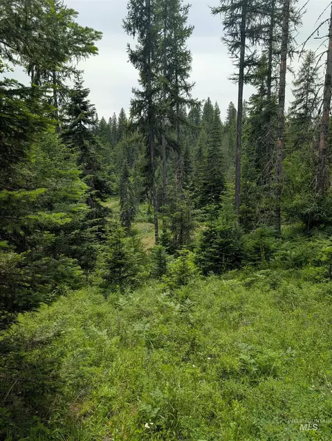 000 Silver Ln, Lenore, ID 83541 photo 47