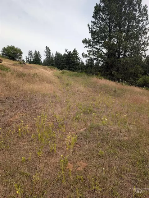 000 Silver Ln, Lenore, ID 83541 photo 45