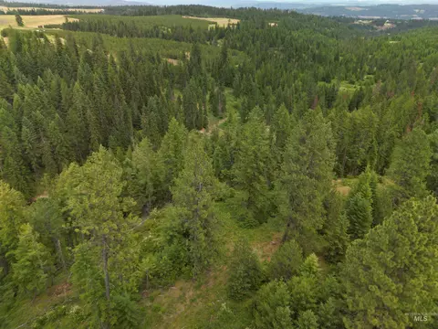 000 Silver Ln, Lenore, ID 83541 photo 18