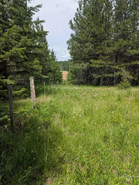 000 Silver Ln, Lenore, ID 83541 photo 39