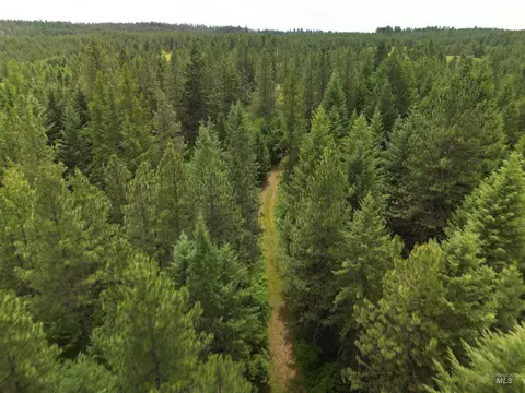 000 Silver Ln, Lenore, ID 83541 photo 35