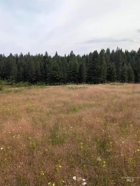 000 Silver Ln, Lenore, ID 83541 photo 46