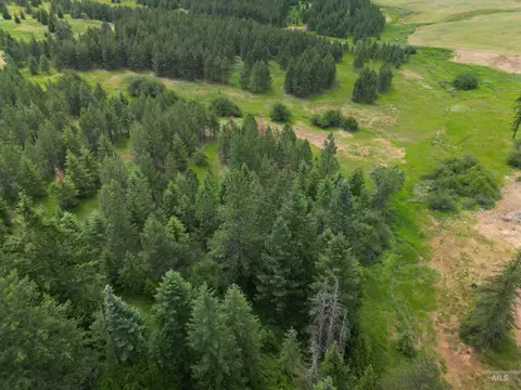 000 Silver Ln, Lenore, ID 83541 photo 28