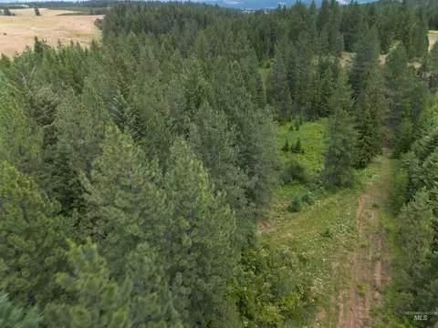 000 Silver Ln, Lenore, ID 83541 photo 14