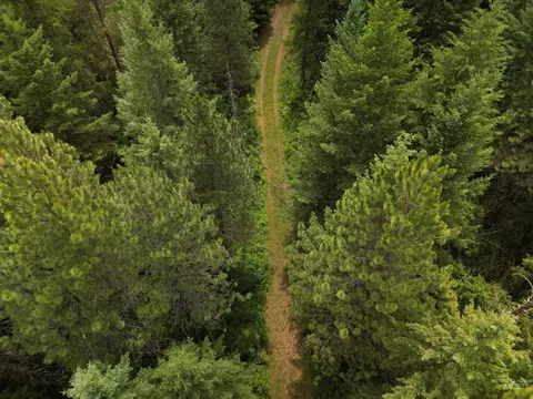 000 Silver Ln, Lenore, ID 83541 photo 36