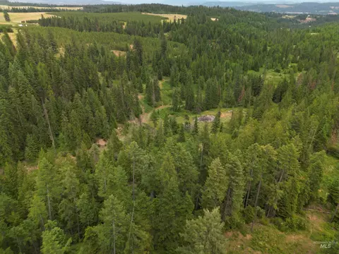 000 Silver Ln, Lenore, ID 83541 photo 19