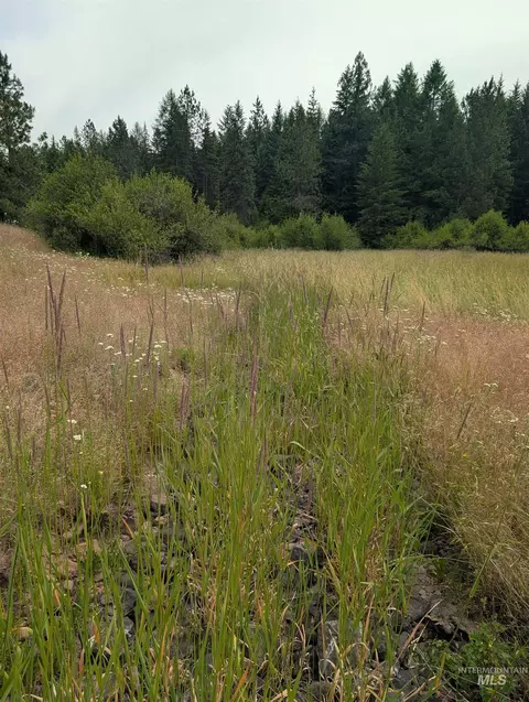 000 Silver Ln, Lenore, ID 83541 photo 43