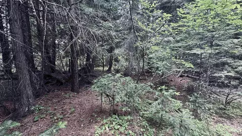 58 Bugling Elk Ln, Weippe, ID 83553 photo 18