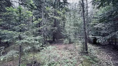 58 Bugling Elk Ln, Weippe, ID 83553 photo 11