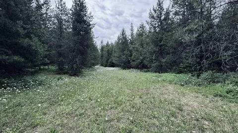 58 Bugling Elk Ln, Weippe, ID 83553 photo 5