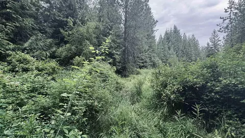 58 Bugling Elk Ln, Weippe, ID 83553 photo 21