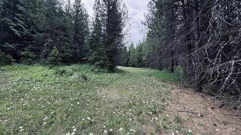 58 Bugling Elk Ln, Weippe, ID 83553 photo 2