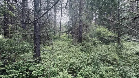 58 Bugling Elk Ln, Weippe, ID 83553 photo 28