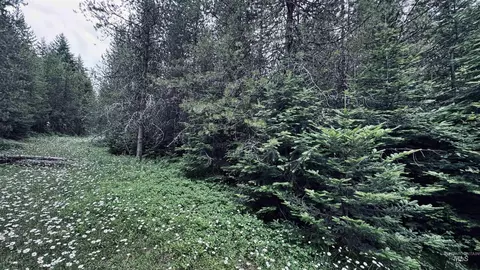 58 Bugling Elk Ln, Weippe, ID 83553 photo 7