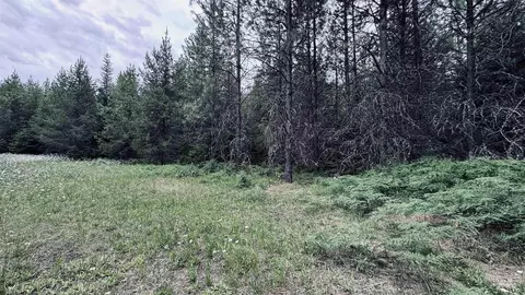 58 Bugling Elk Ln, Weippe, ID 83553 photo 4