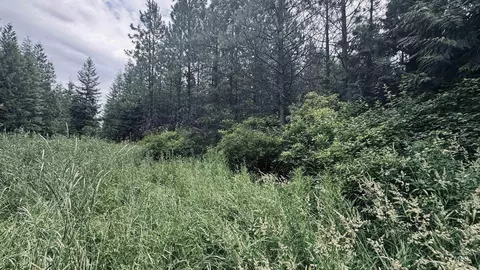 58 Bugling Elk Ln, Weippe, ID 83553 photo 23