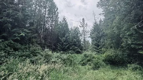58 Bugling Elk Ln, Weippe, ID 83553 photo 25