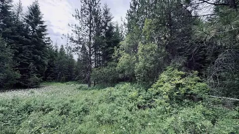 58 Bugling Elk Ln, Weippe, ID 83553 photo 1