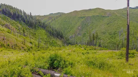 312 Hidden Valley Ln, Weippe, ID 83553 photo 8