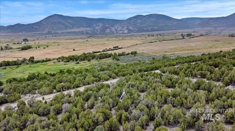tbd Tbd, Almo, ID 83312 photo 12