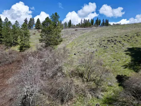 tbd Old Peck Grade, Lenore, ID 83541 photo 2